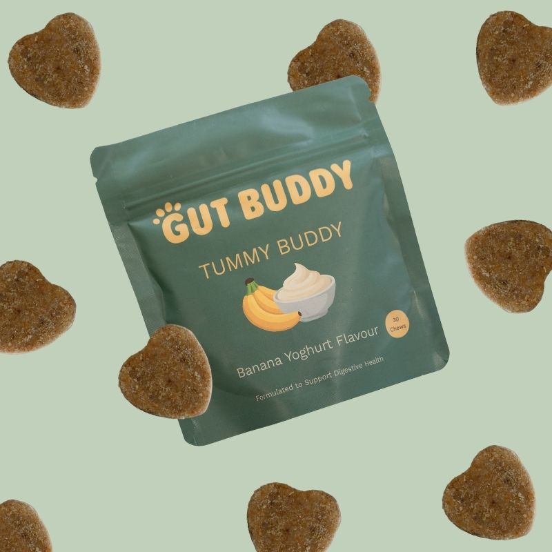 Tummy Buddy | Soothes Sensitive Tummies