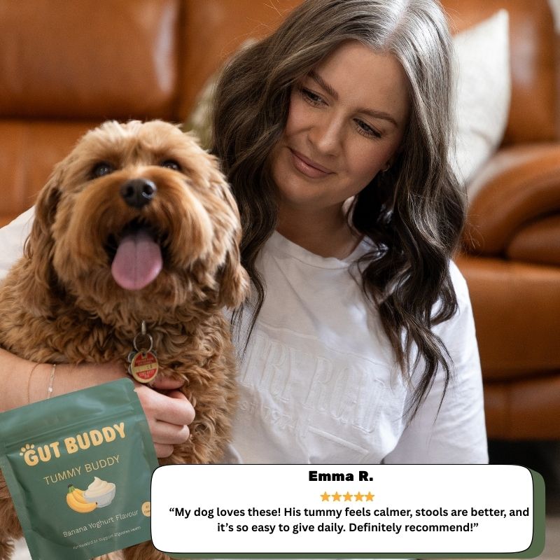 Tummy Buddy | Soothes Sensitive Tummies