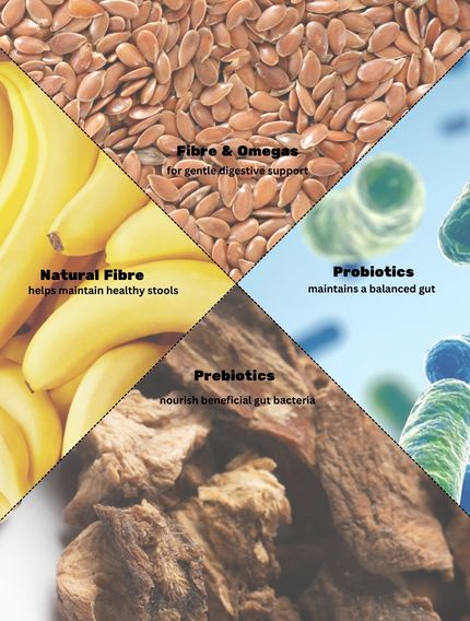 Tummy Buddy | Soothes Sensitive Tummies